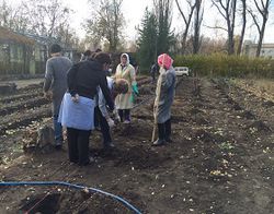 В учебном центре виноградарства и виноделия произвели осеннюю закладку винограда