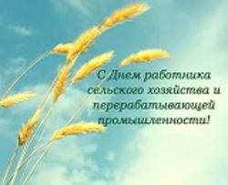 Виноградари и виноделы Ставропольского края поздравляют с Днем работников сельского хозяйства и перерабатывающей промышленности!