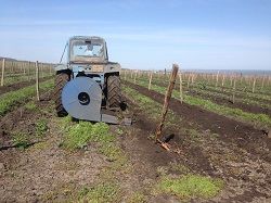 Весенние работы в садах и виноградниках